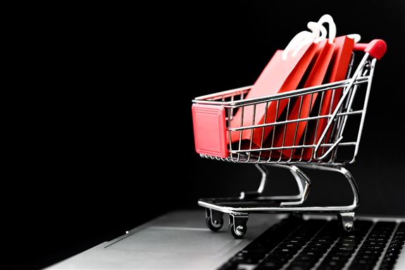 Neden Ücretli E-ticaret Sitesi Açmalısınız?